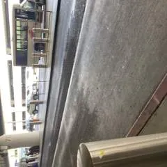 Jp photo on Jungo Live