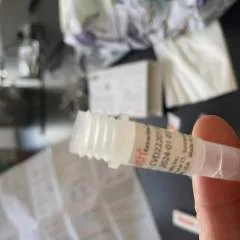 Shelly photo on Jungo Live