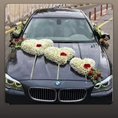 Ferhat photo on Jungo Live