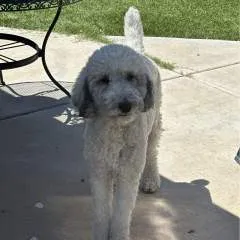 Azrjpain photo on Jungo Live