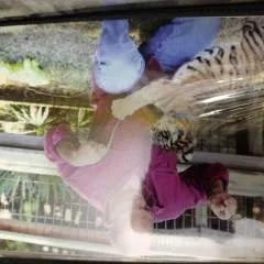 L2eatpussy photo on Jungo Live