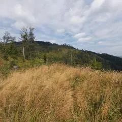 Dawidpl photo on Jungo Live