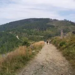 Dawidpl photo on Jungo Live