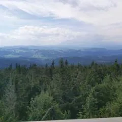 Dawidpl photo on Jungo Live