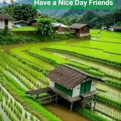 Ashwin photo on Jungo Live