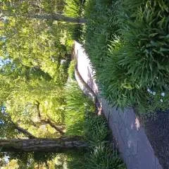 Joe photo on Jungo Live