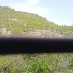 Ishaan photo on Jungo Live