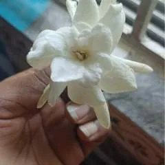 Ishaan photo on Jungo Live