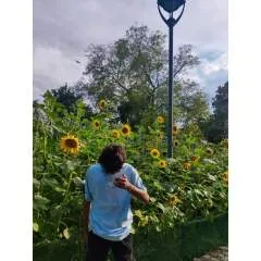 Nobi photo on Jungo Live