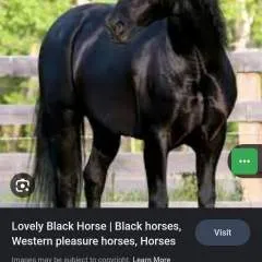 Ariz photo on Jungo Live