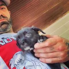 Gator........ photo on Jungo Live