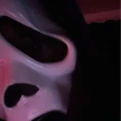 Gator........ photo on Jungo Live