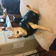 Tedebear photo on Jungo Live