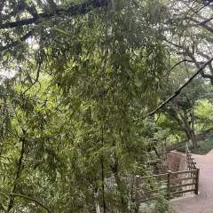 Sissy Slut photo on Jungo Live