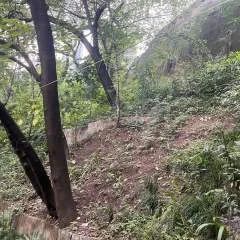 Sissy Slut photo on Jungo Live