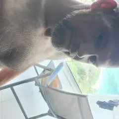 Funcouple.... photo on Jungo Live