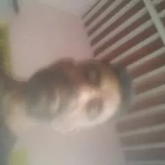 Davinder photo on Jungo Live