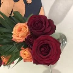 Aldooo photo on Jungo Live