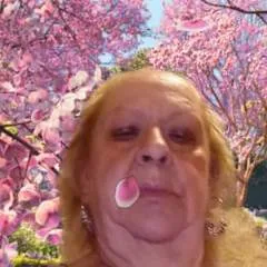 Robin photo on Jungo Live