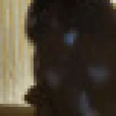 Robin photo on Jungo Live