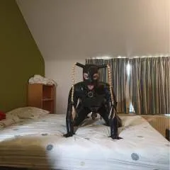 Sub_alexx photo on Jungo Live