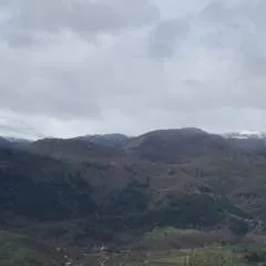 Ozi35 photo on Jungo Live