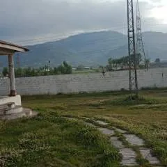 Fareey photo on Jungo Live