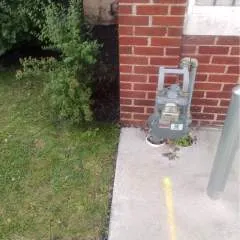 Oz photo on Jungo Live