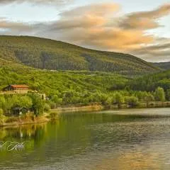 Furkie photo on Jungo Live