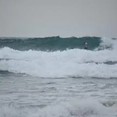 Johntalk photo on Jungo Live