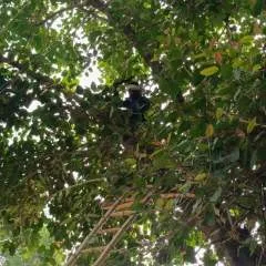 Sudhir photo on Jungo Live