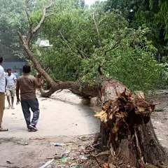 Sudhir photo on Jungo Live