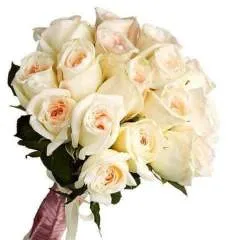 Carolina Kilvin photo on Jungo Live