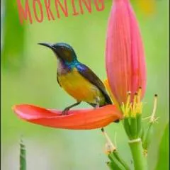 Chetan Rathod photo on Jungo Live