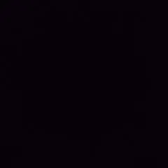 Joey photo on Jungo Live