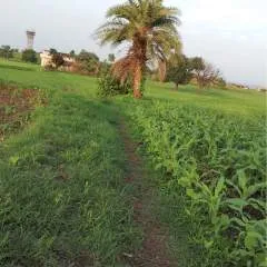 R.k.sarma photo on Jungo Live