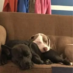 Dana And Joe photo on Jungo Live