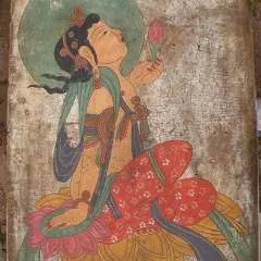 Jd photo on Jungo Live