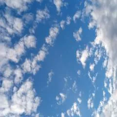 Alexander Rocha photo on Jungo Live