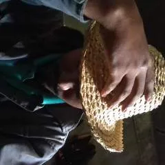 Janu... photo on Jungo Live