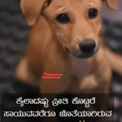 Appu photo on Jungo Live