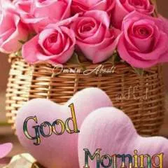 Yogi photo on Jungo Live