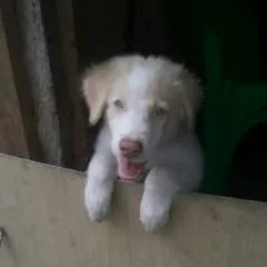 Swingers photo on Jungo Live