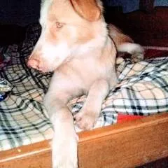 Swingers photo on Jungo Live