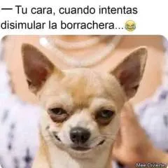 Swingers photo on Jungo Live