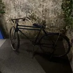 Honeylemon photo on Jungo Live