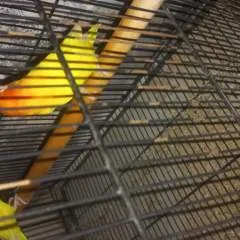 Naveed photo on Jungo Live