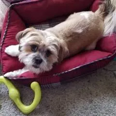 Brnth photo on Jungo Live