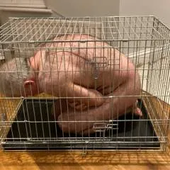 Mistressnelo78 photo on Jungo Live