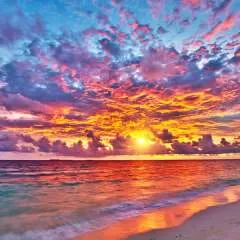 At60nastyfreak photo on Jungo Live